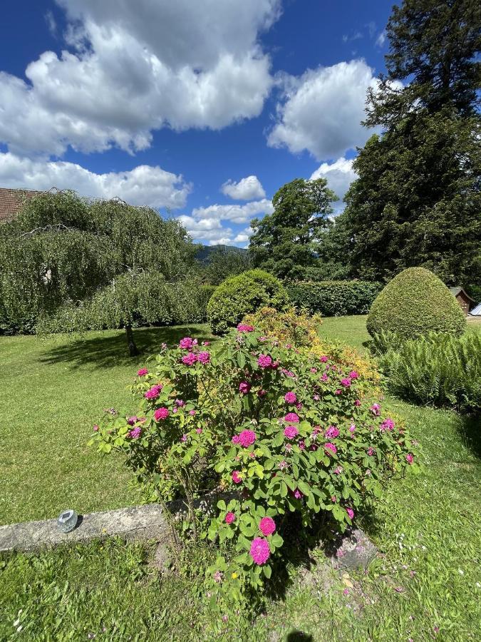 A L'Ombre Des Tilleuls Husseren-Wesserling Bagian luar foto